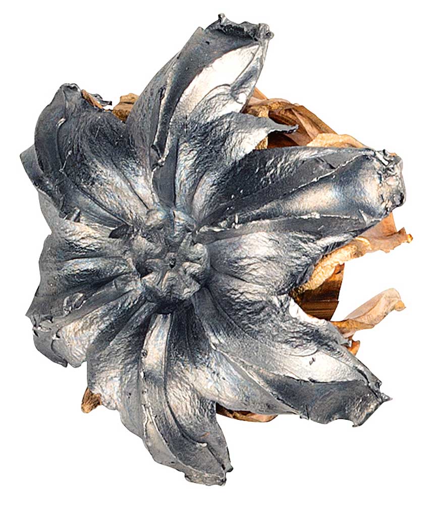 bulletexpansion ©2024, Brooks Defense Solutions, LLC. All rights